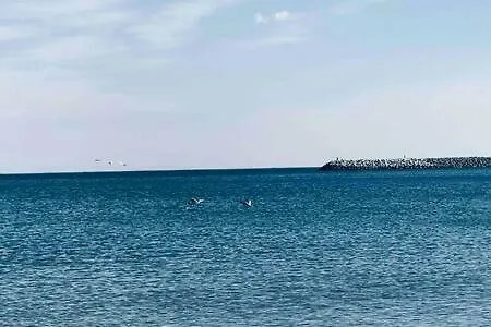 Apartment Studio For 2 In Summerland Mamaia